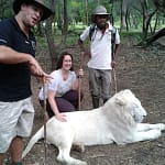 Patricia Dehm-Schimpfermann streichelt einen Weißen Löwen im Casela Park, Mauritius