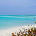 COMO Parrot Cay Beach and turquoise sea