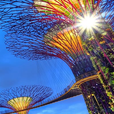 Supertrees und Marina Bay Sands, Singapur, Photo by Duy Nguyen on Unsplash