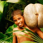 Exotische Souvenirs 1