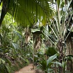 Reisebericht - Seychellen 1