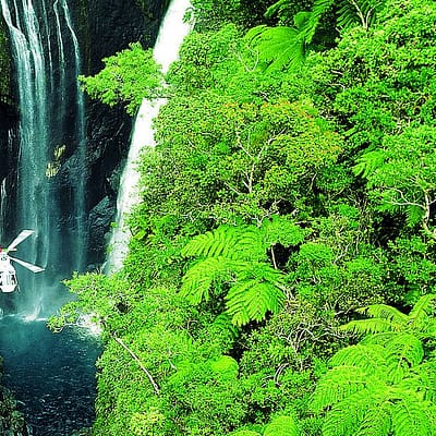 La Réunion Dschungel, Canyon mit Wasserfällen mit Helikopter in der Mitte
